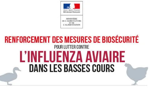 Un cas de grippe aviaire dans les Ardennes